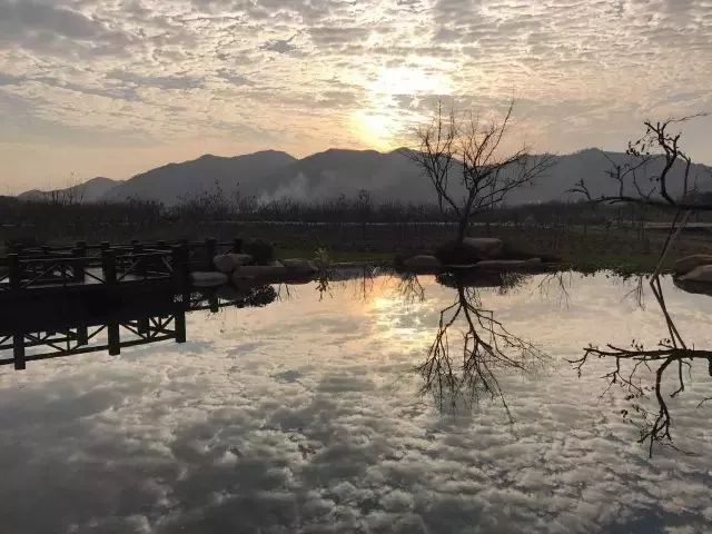 20230608/5d3cc36f810b205f8ad16683d09eae12.png